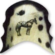 Retainer with an appaloosa design