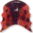 Retainer with an Lady Bug design