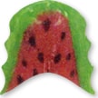 Retainer with an water melon design